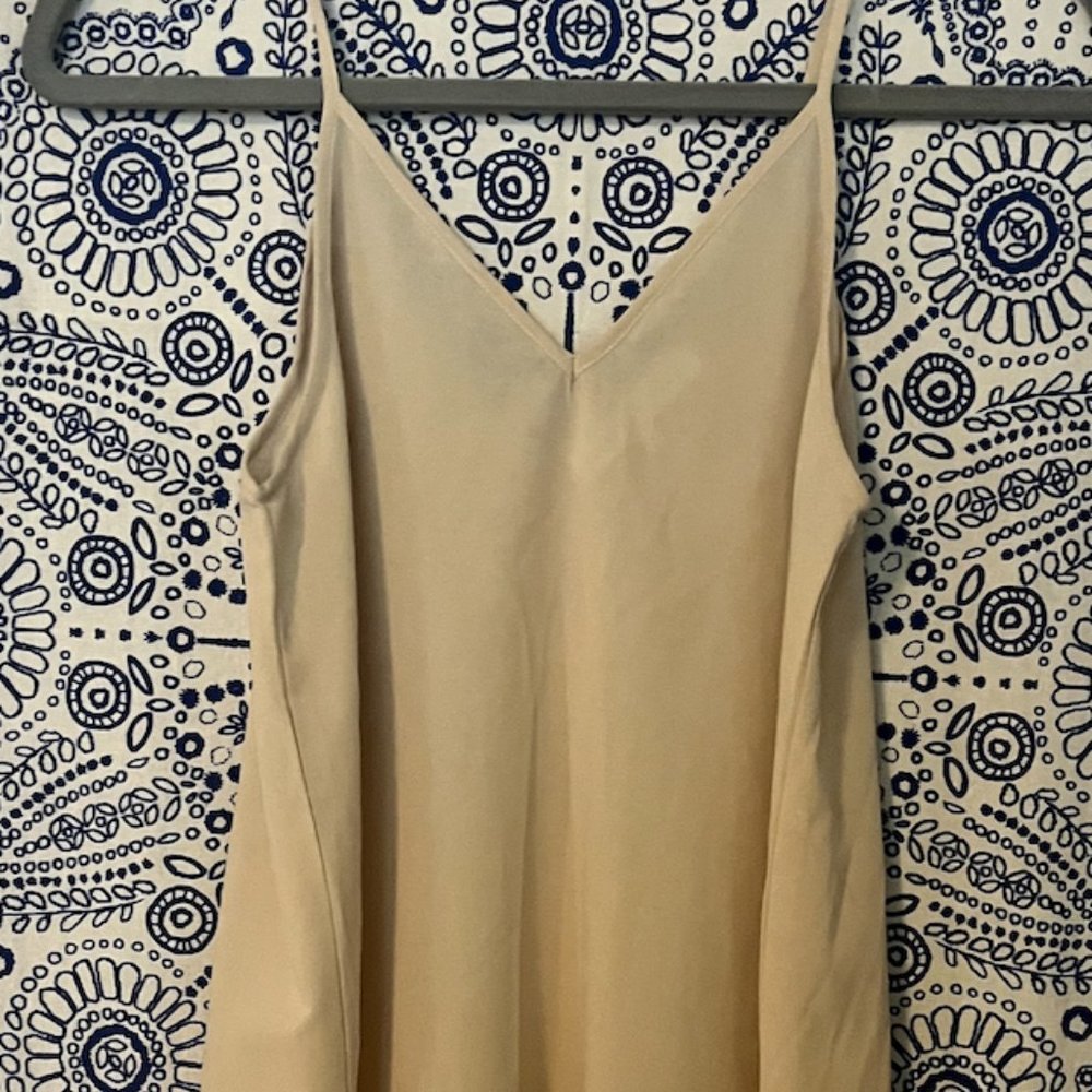 Endless Rose dress slip